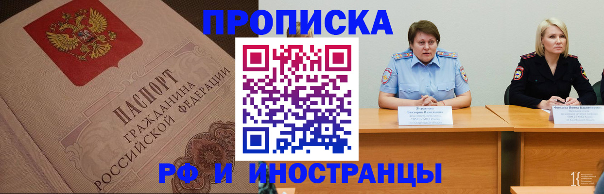 прописка законно в Коле